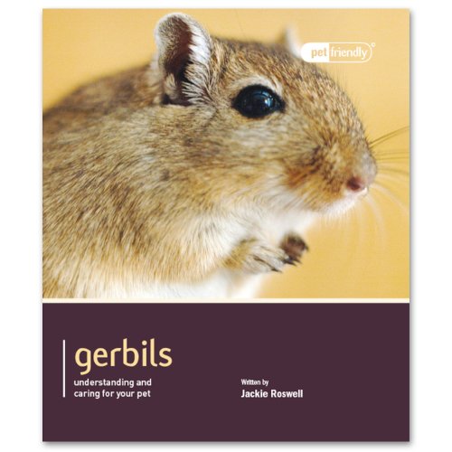 9781907337109: Gerbils: Understand and caring for your pet