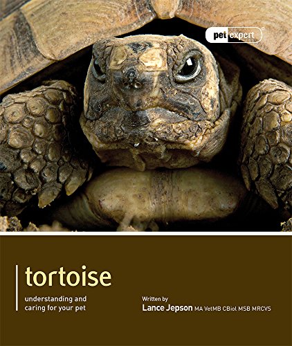 9781907337147: Tortoise - Pet Expert: Understanding and Caring for Your Pet