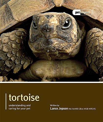 Stock image for Tortoise for sale by Blackwell's