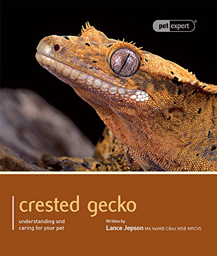 Stock image for Crested Gecko (Pet Expert) for sale by HPB Inc.