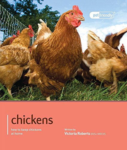 Beispielbild fr Chickens - Pet Friendly zum Verkauf von WorldofBooks