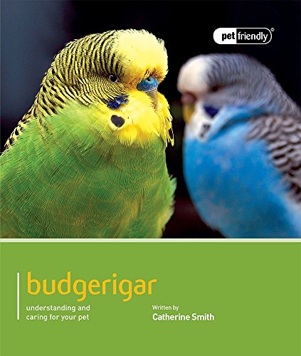 Beispielbild fr Budgerigar: Pet Friendly - Budgerigar: Understanding and Caring for Your Pet zum Verkauf von WorldofBooks