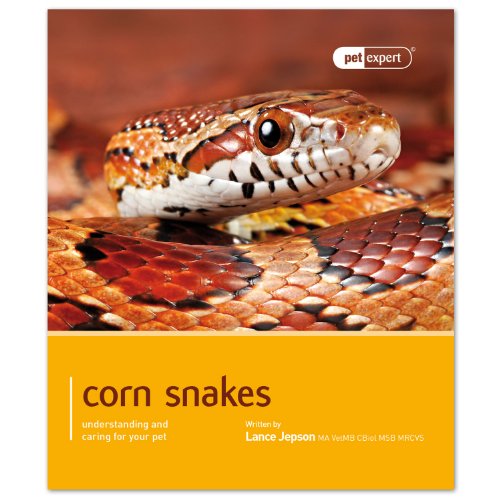 9781907337277: Corn Snake (Pet Expert)