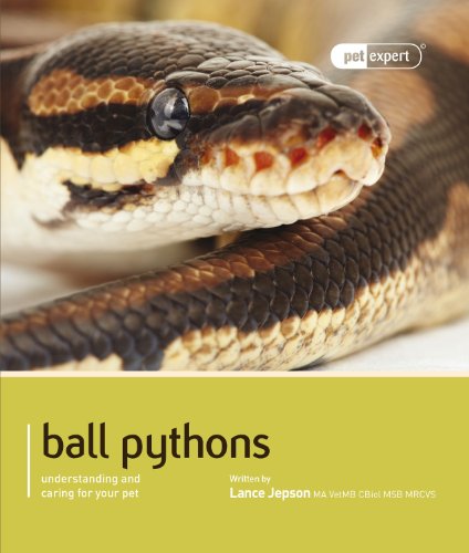Imagen de archivo de Ball Python (Royal Python) (Pet Expert) a la venta por MusicMagpie