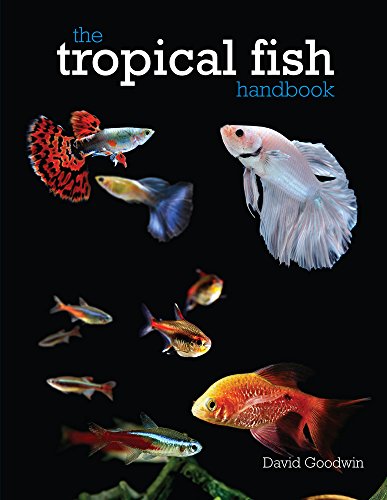 Stock image for The Tropical Fish Handbook for sale by WorldofBooks