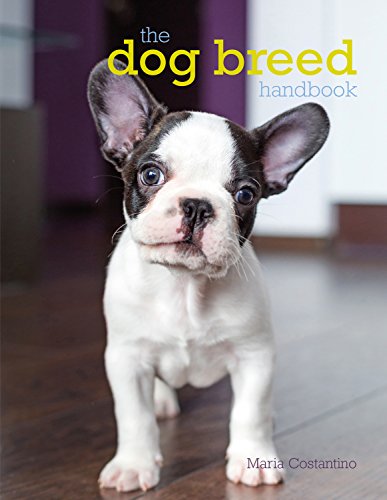 Imagen de archivo de The Dog Breed handbook a la venta por WorldofBooks