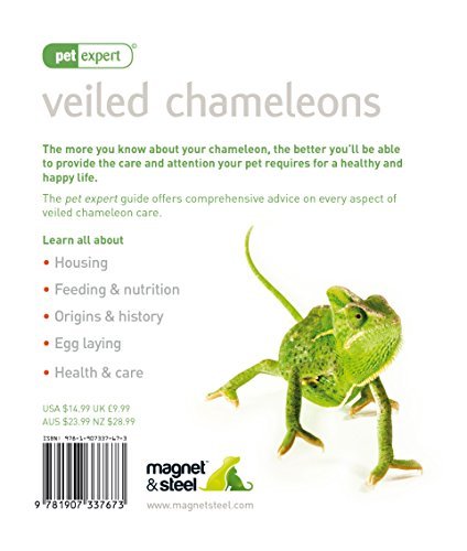 Imagen de archivo de Veiled Chameleons - Pet Expert a la venta por WorldofBooks