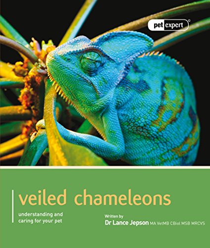 Stock image for Veiled Chameleons - Pet Expert for sale by WorldofBooks