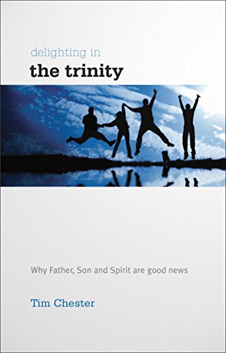 Stock image for Delighting in the Trinity (Accessible Theology) for sale by BooksRun