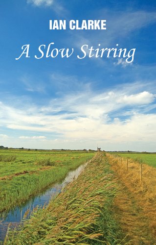 9781907401978: A Slow Stirring