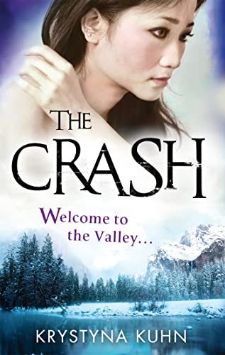 9781907410574: The Crash: The Valley: Book 02