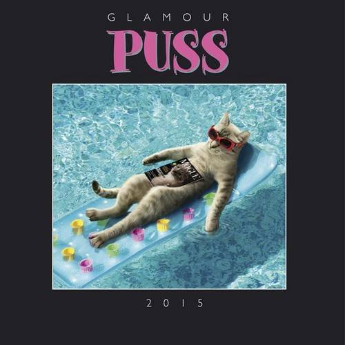 9781907412424: Glamour Puss 2015 Calendar