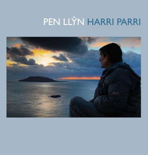 Stock image for Pen Llyn Harri Parri for sale by siop lyfrau'r hen bost