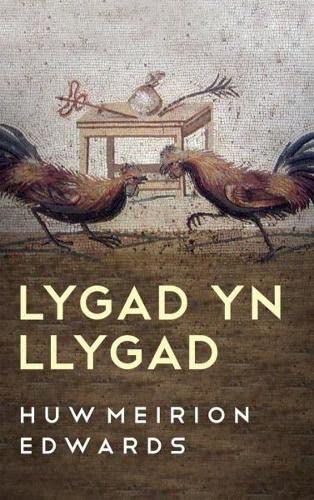 Stock image for Lygad Yn Llygad for sale by siop lyfrau'r hen bost