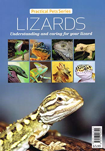 9781907426544: Lizards - Understanding and caring for your lizard