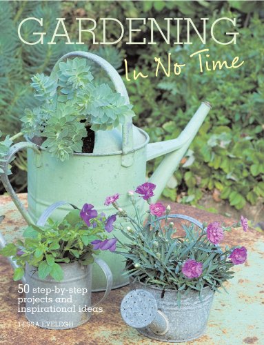 Beispielbild fr Gardening in No Time: 50 Step-by-step Projects and Inspirational Ideas zum Verkauf von Wonder Book