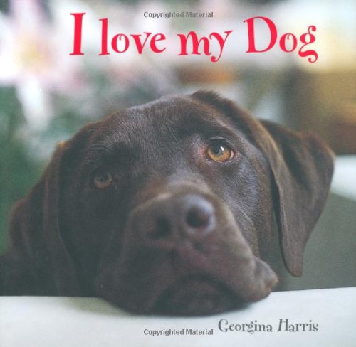 Stock image for I Love My Dog for sale by The Maryland Book Bank