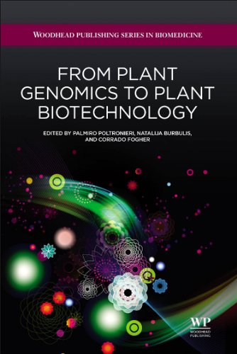 Stock image for From Plant Genomics to Plant Biotechnology (Woodhead Publishing Series in Biomedicine) for sale by Chiron Media