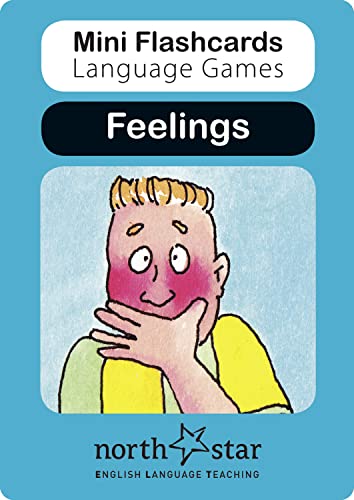 9781907584138: Feelings (Mini Flashcards Language Games)