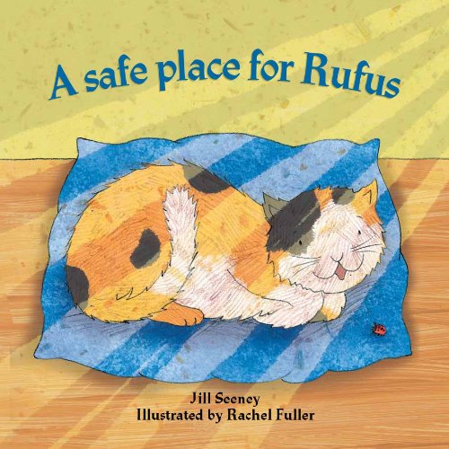 9781907585456: A Safe Place for Rufus