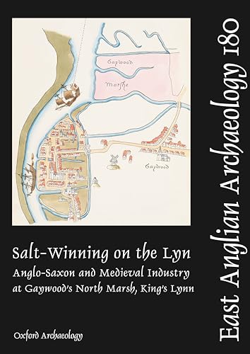 Imagen de archivo de Salt-winning on the Lyn : Anglo-saxon and Medieval Industry at Gaywood's North Marsh, King's Lynn a la venta por GreatBookPrices
