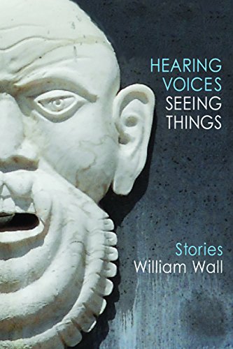 Beispielbild fr Hearing Voices, Seeing Things zum Verkauf von WorldofBooks