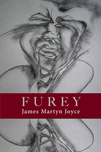 Stock image for Furey for sale by Kennys Bookshop and Art Galleries Ltd.