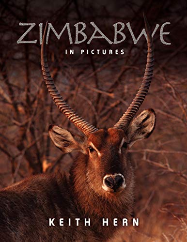 Beispielbild fr Zimbabwe in Pictures zum Verkauf von Blackwell's