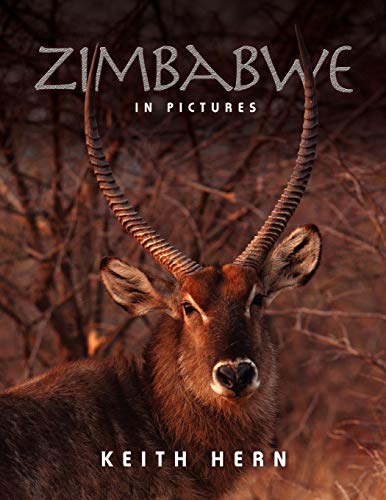 Stock image for Zimbabwe in Pictures for sale by Blackwell's
