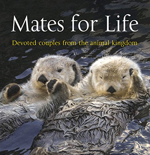 Beispielbild fr Mates for Life Devoted Couples from the Animal Kingdom zum Verkauf von PBShop.store UK