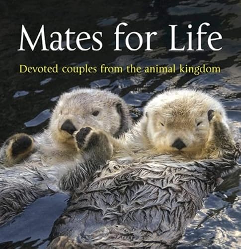 Imagen de archivo de Mates for Life Devoted Couples from the Animal K ingdom a la venta por Revaluation Books