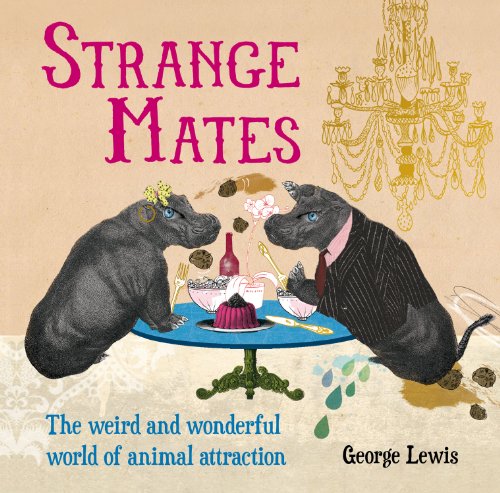 Imagen de archivo de Strange Mates: The Weird and Wonderful World of Animal Attraction a la venta por Wonder Book