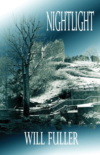 Stock image for Nightlight for sale by Seagull Books