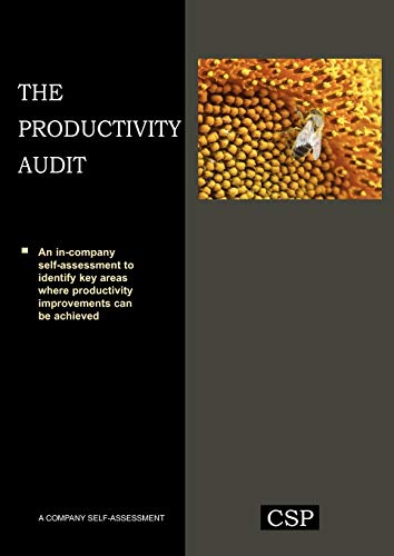 Imagen de archivo de The Productivity Audit a la venta por PBShop.store US