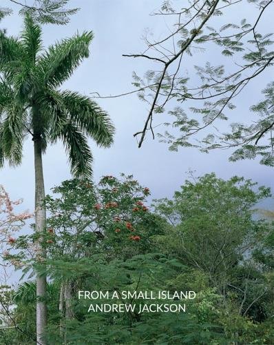 Beispielbild fr From a Small Island: Andrew Jackson zum Verkauf von WorldofBooks