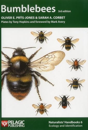 Beispielbild fr Bumblebees: 6 (Naturalists' Handbooks) zum Verkauf von Monster Bookshop