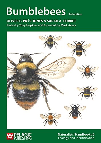 9781907807060: Bumblebees: 6 (Naturalists' Handbooks)
