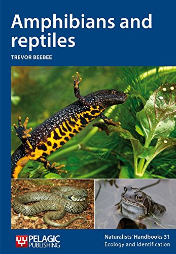 Stock image for Amphibians and reptiles (Naturalists' Handbook): 31 (Naturalists' Handbooks) for sale by AwesomeBooks