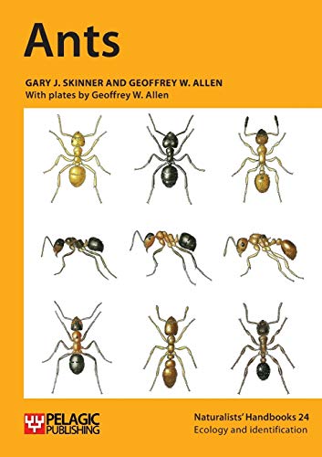 Imagen de archivo de Ants (Naturalists' Handbooks): Vol. 24 a la venta por AwesomeBooks