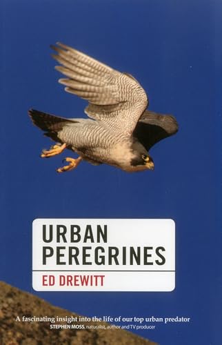 Beispielbild fr Urban Peregrines (Pelagic Monographs) zum Verkauf von WorldofBooks