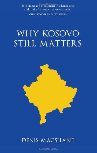 Beispielbild fr Why Kosovo Matters zum Verkauf von WorldofBooks