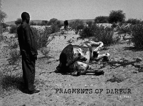 Beispielbild fr Fragments of Darfur zum Verkauf von Housing Works Online Bookstore