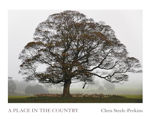 9781907893629: A Place in the Country: A Year in the Life of Holkham Estate
