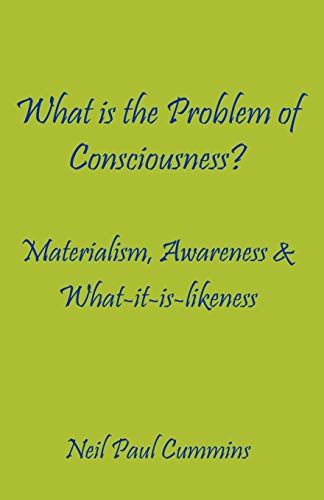 Imagen de archivo de What is the Problem of Consciousness?: Materialism, Awareness & What-it-is-likeness a la venta por Lucky's Textbooks