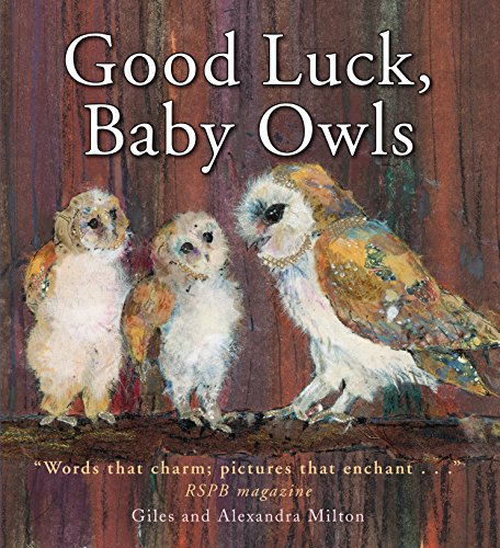 9781907967849: Good Luck, Baby Owls!: 1