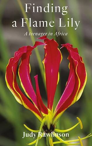9781907991134: Finding a Flame Lily: A Teenager in Africa