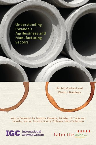 9781907994173: Understanding Rwanda's Agribusiness and Manufacturing Sectors