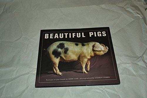 9781908005038: Beautiful Pigs Portraits of Fine Breeds