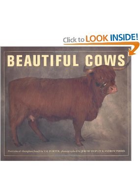 Beispielbild fr Beautiful Cows zum Verkauf von Gulf Coast Books