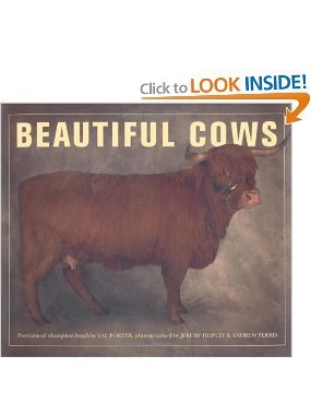 Imagen de archivo de Beautiful Cows a la venta por Gulf Coast Books